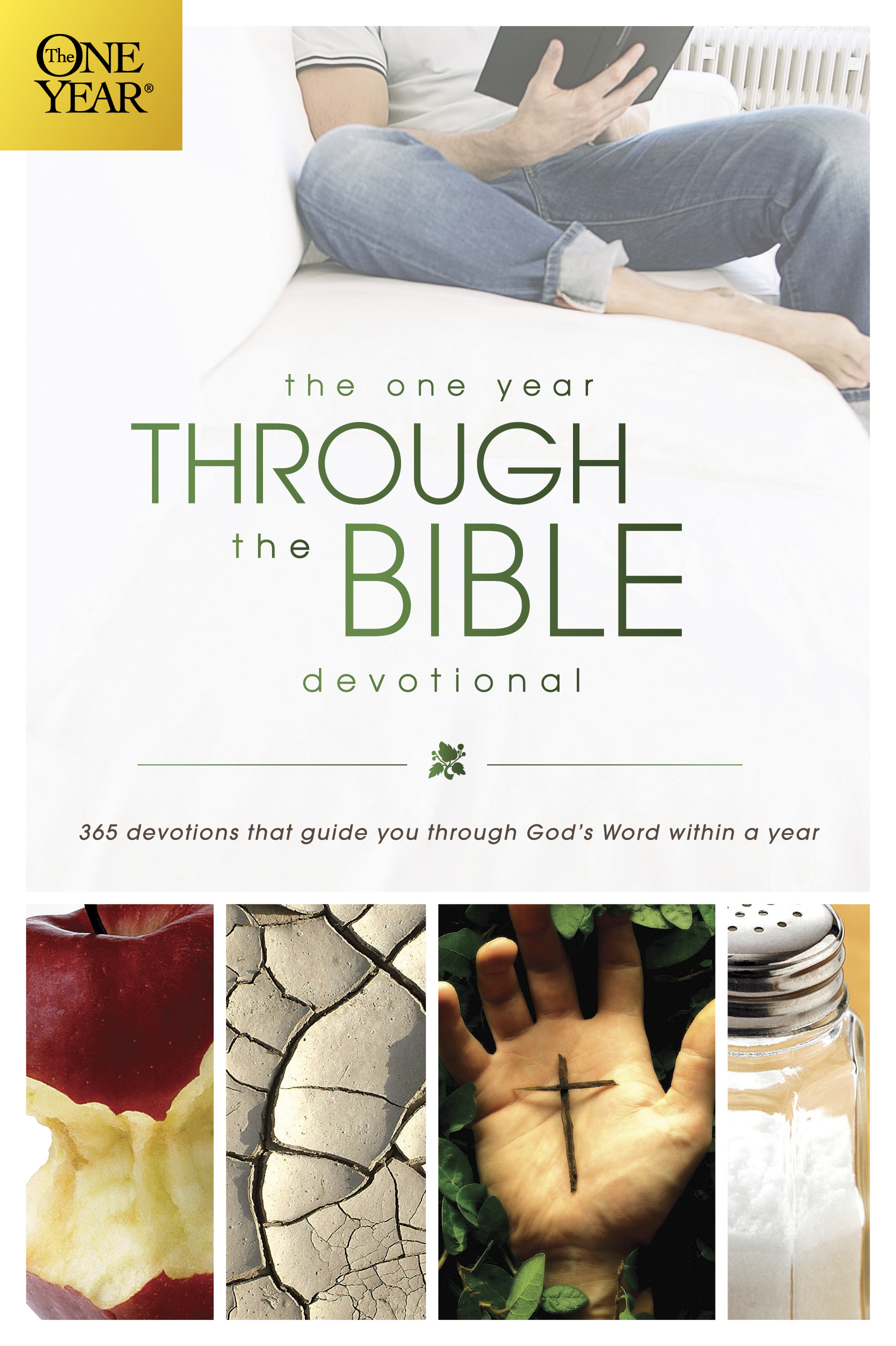 One Year Through The Bible Devotional By David R Veerman (Paperback)