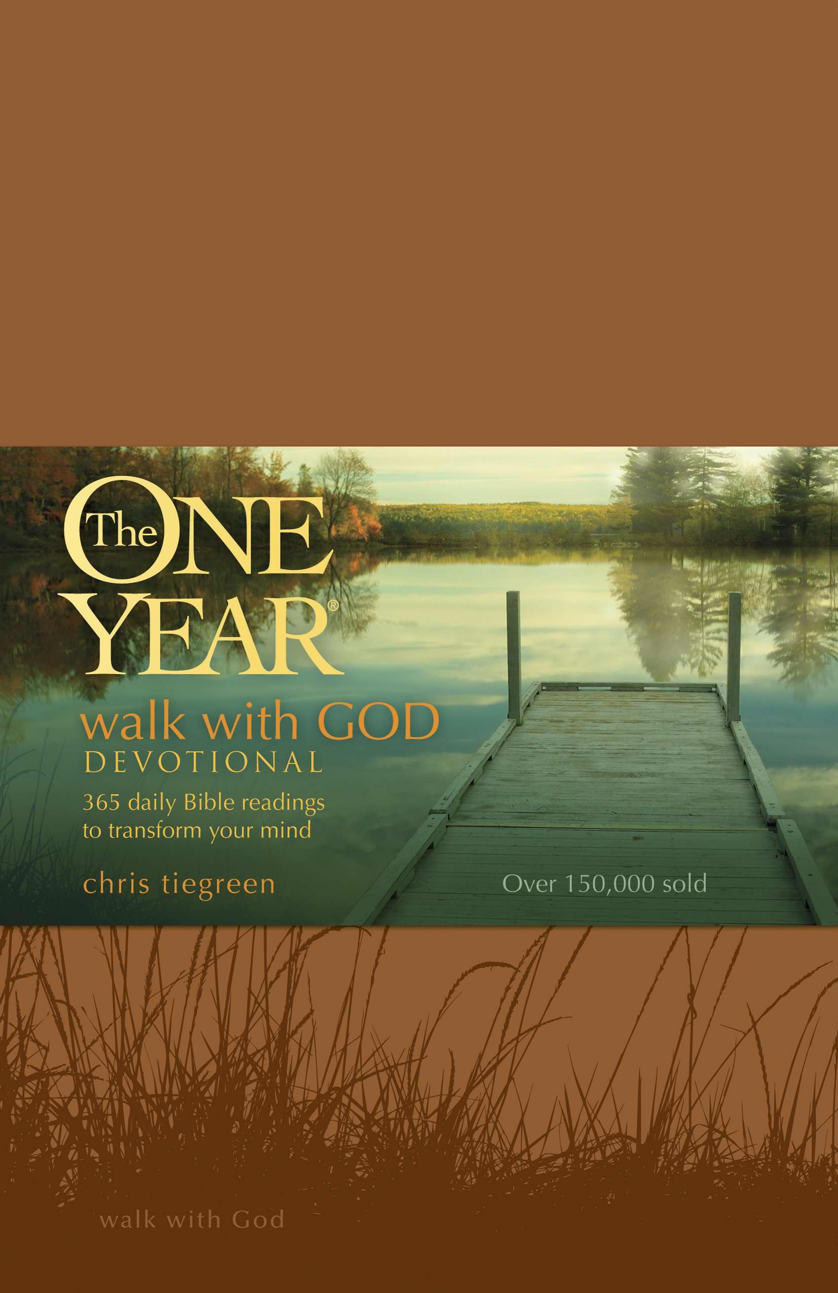 One Year Walk with God Devotional By Chris Tiegreen 9781414316611