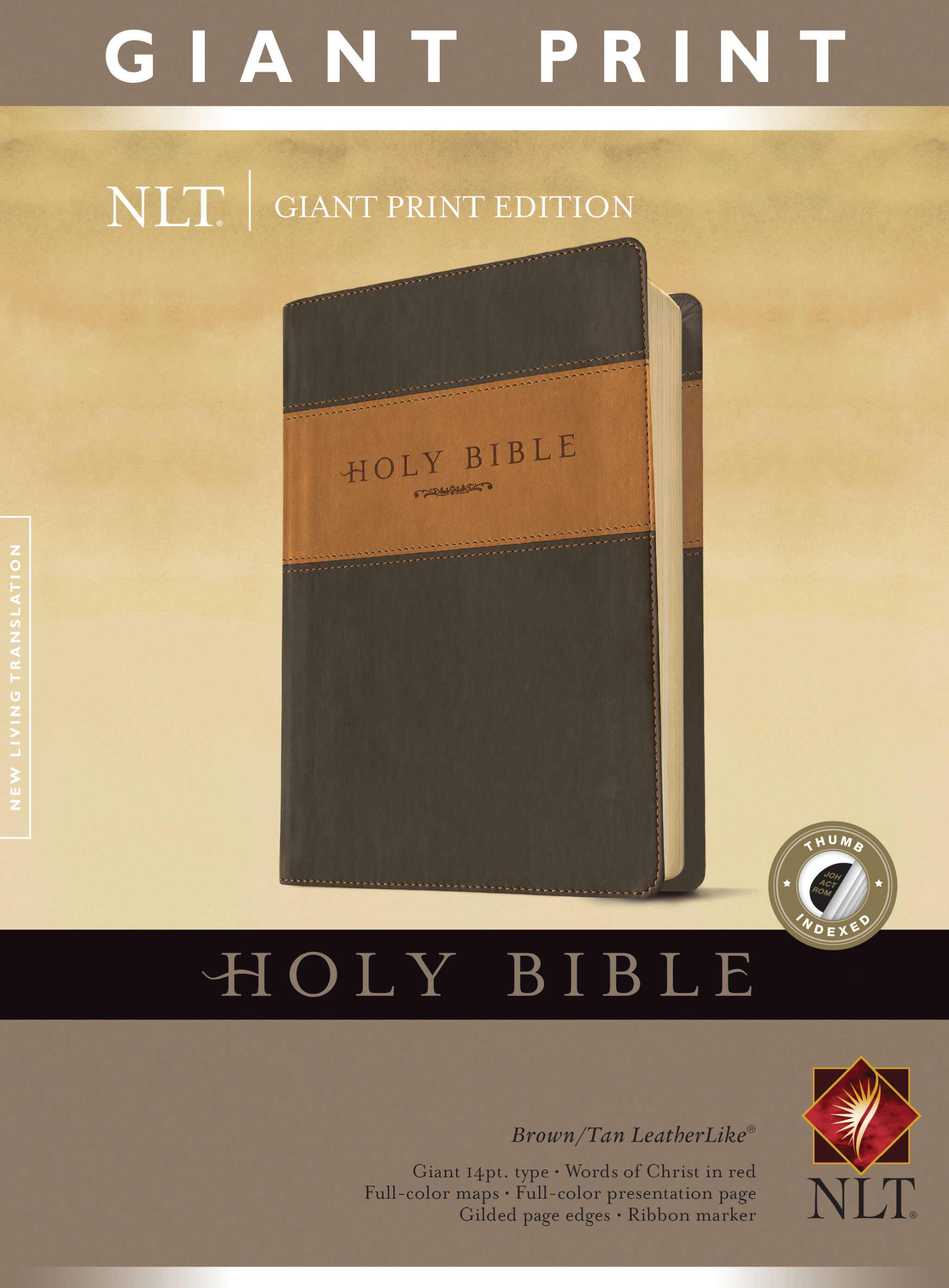 Larger Print Bible