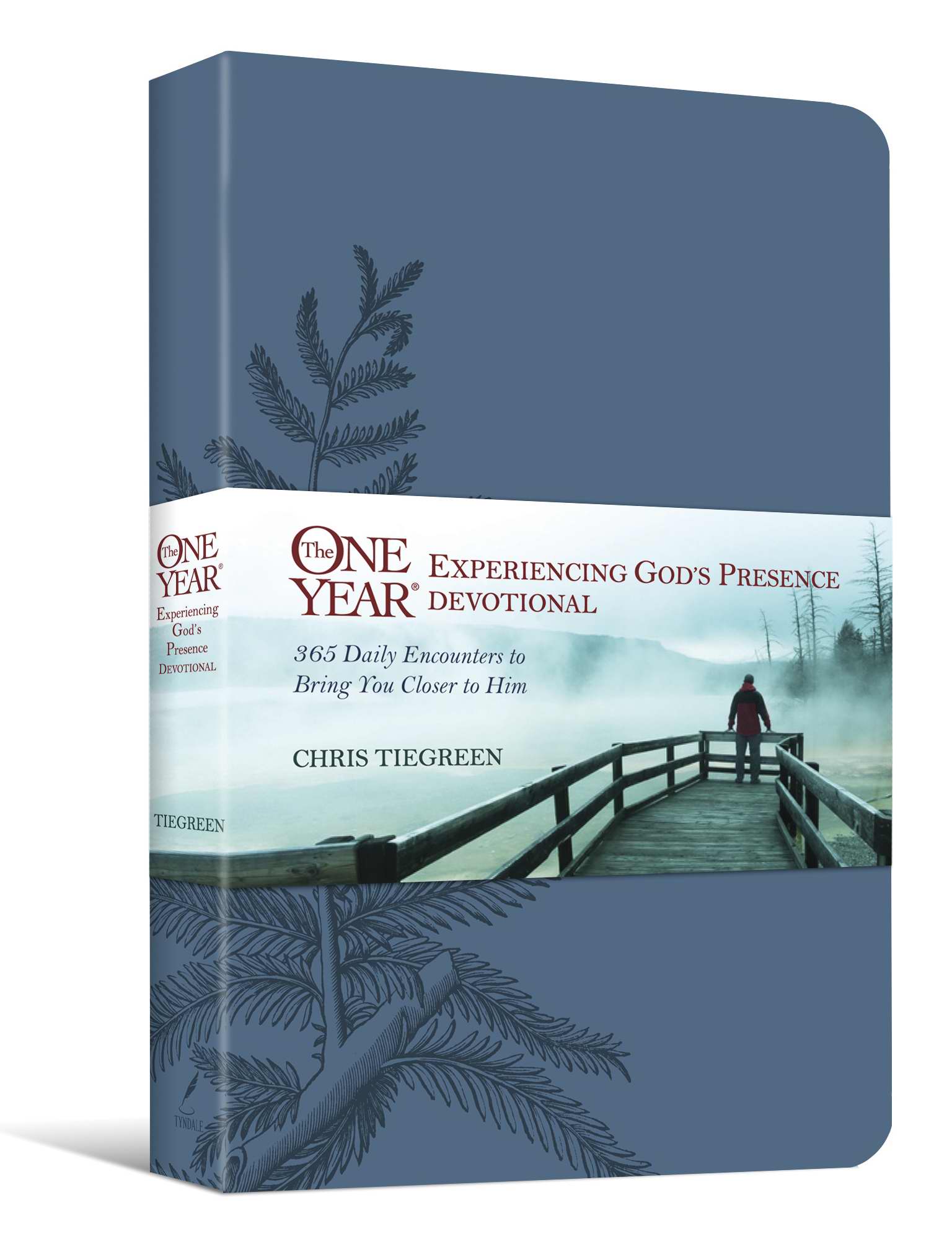 One Year Experiencing Gods Presence Dev By Chris Tiegreen (Leather)