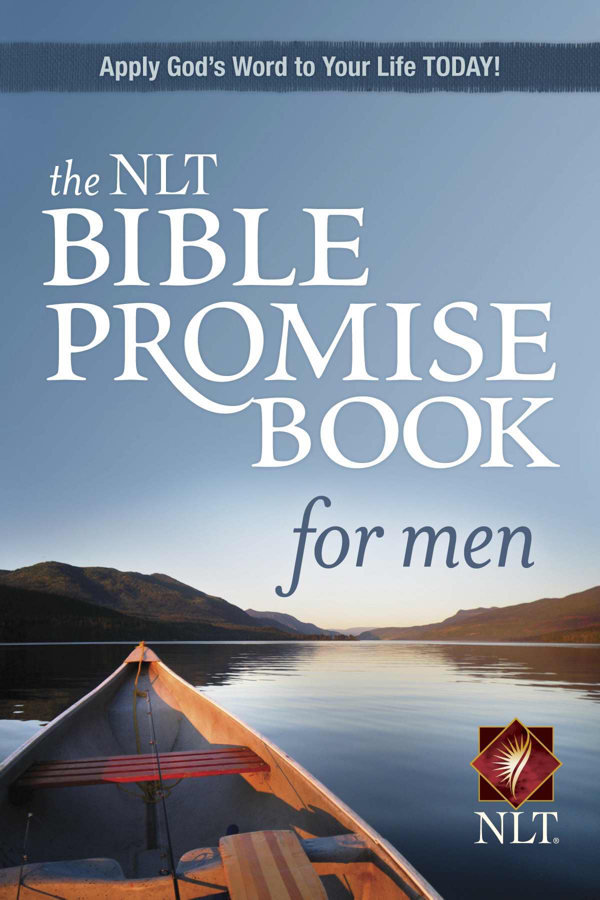 NLT Bible Promise Book for Men Softcover By Amy E Mason Ronald A Beers