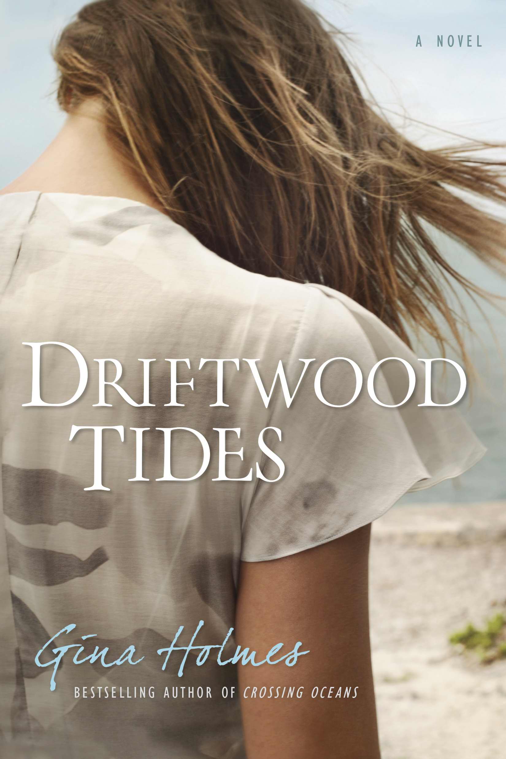 Driftwood Tides By Gina Holmes (Paperback) 9781414366425