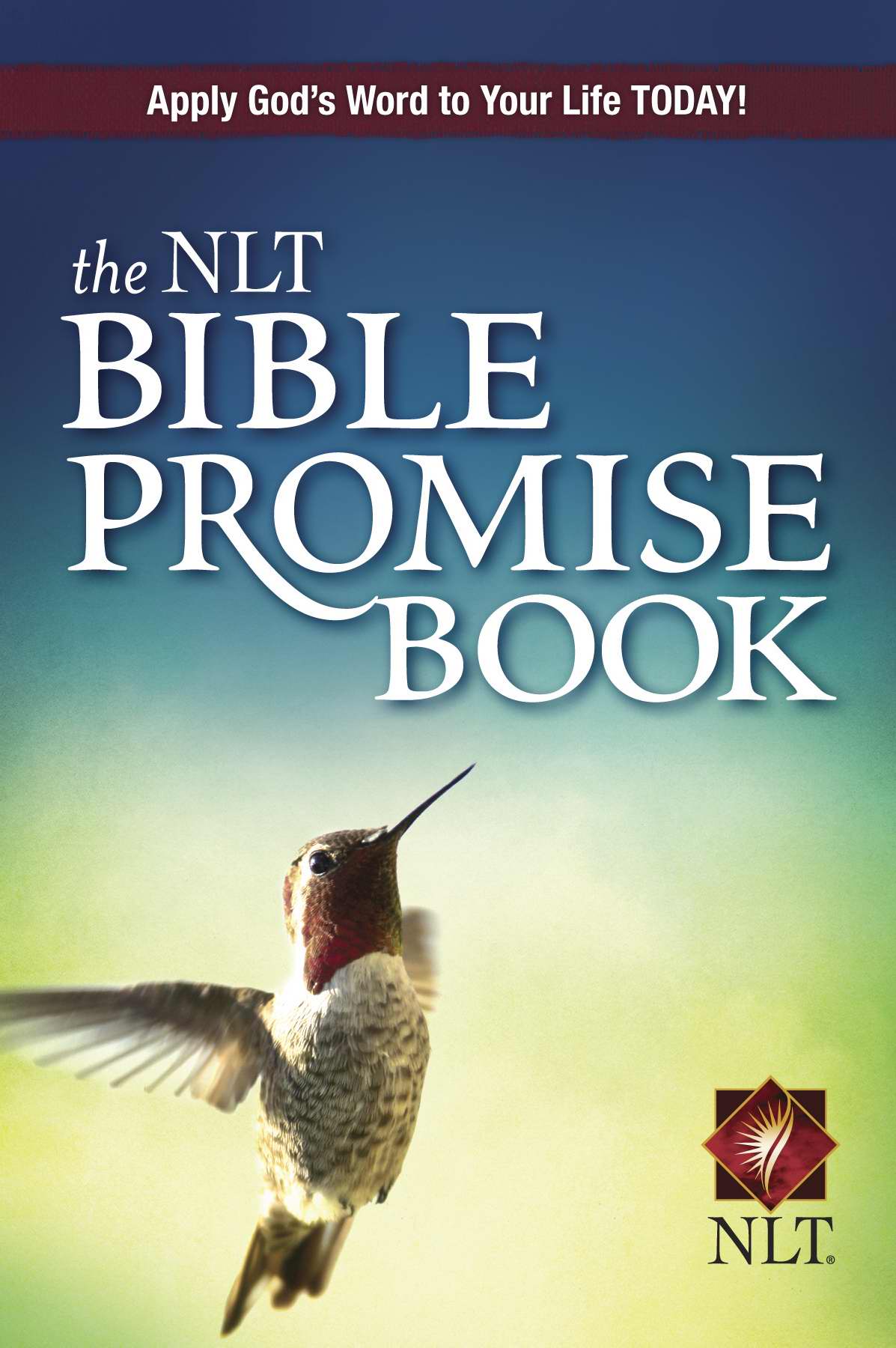 The NLT Bible Promise Book By Amy E Mason Ronald A Beers (Paperback)