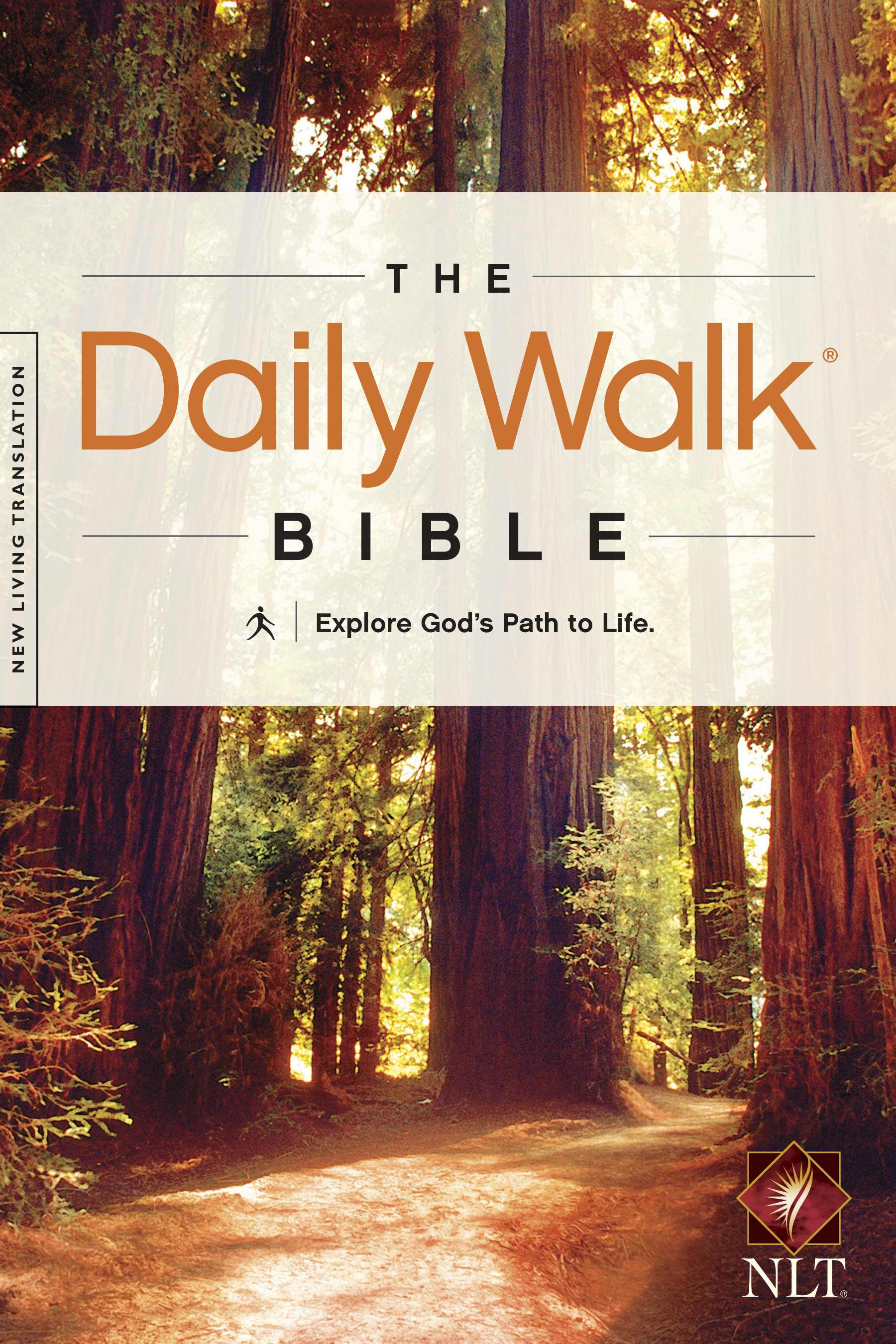 NLT Daily Walk Devotional Bible Brown Paperback Daily Readings Ref