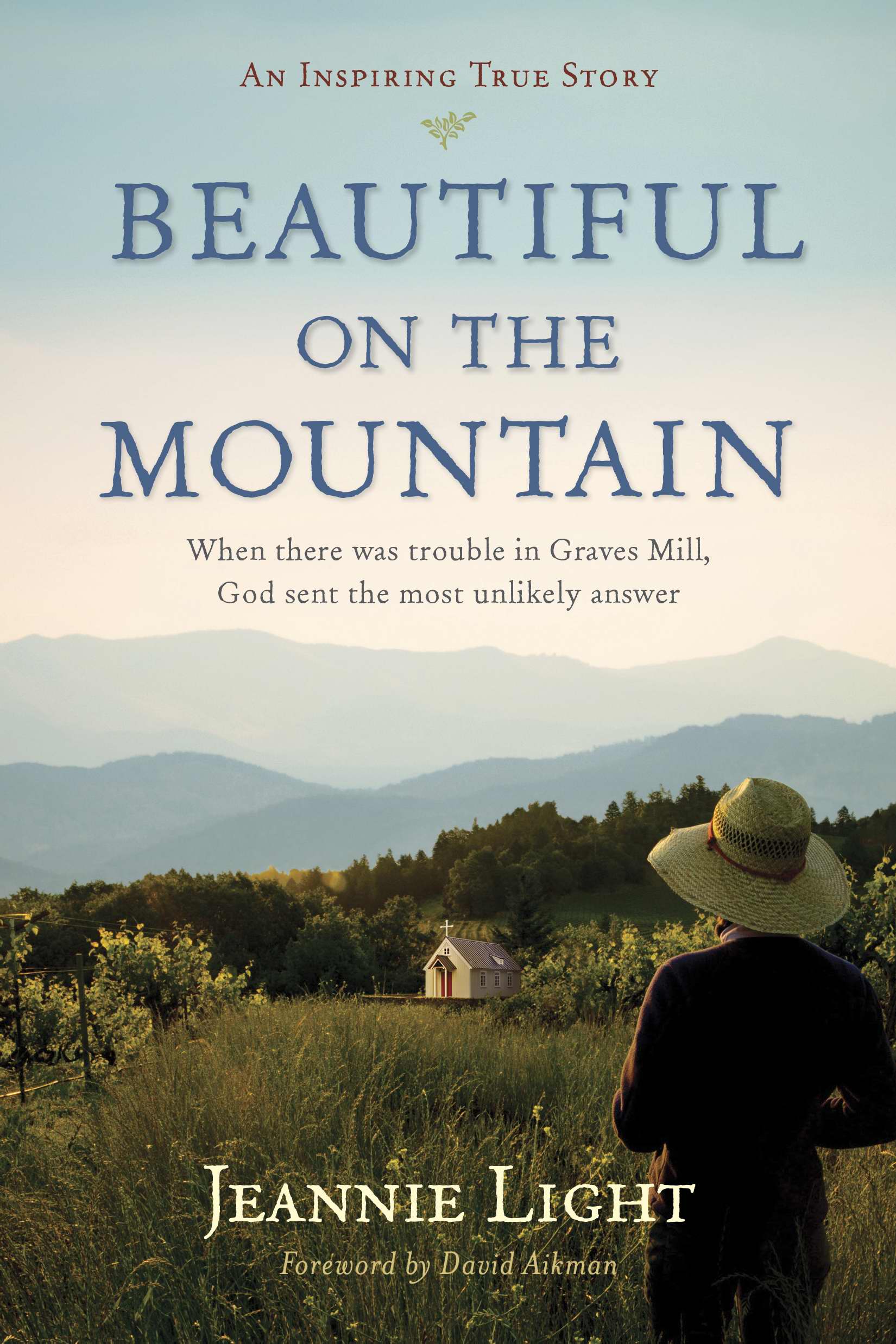 Beautiful On The Mountain By Jeannie Light (Paperback) 9781414387130