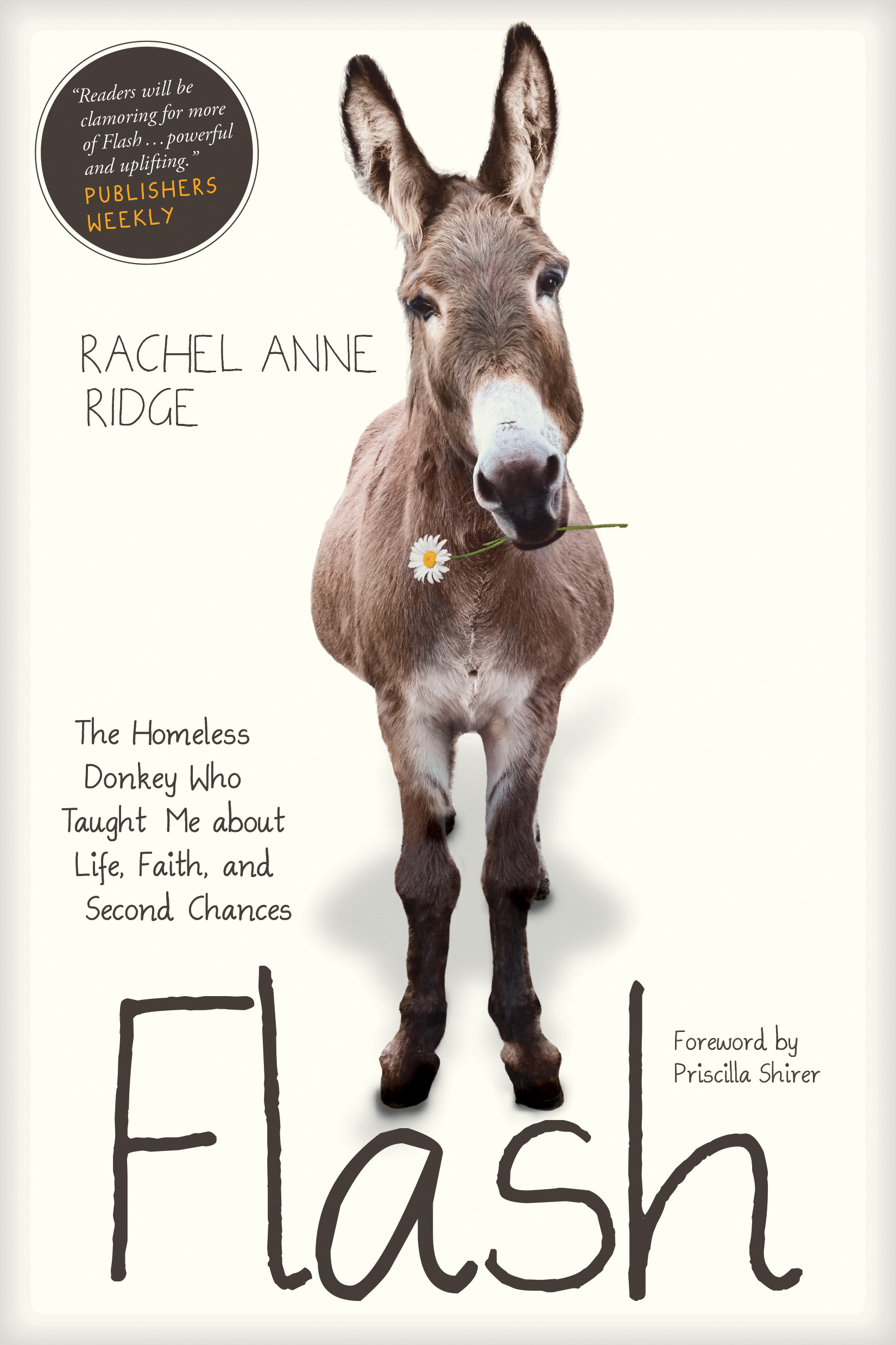 Flash By Rachel Anne Ridge (Paperback) 9781414397849