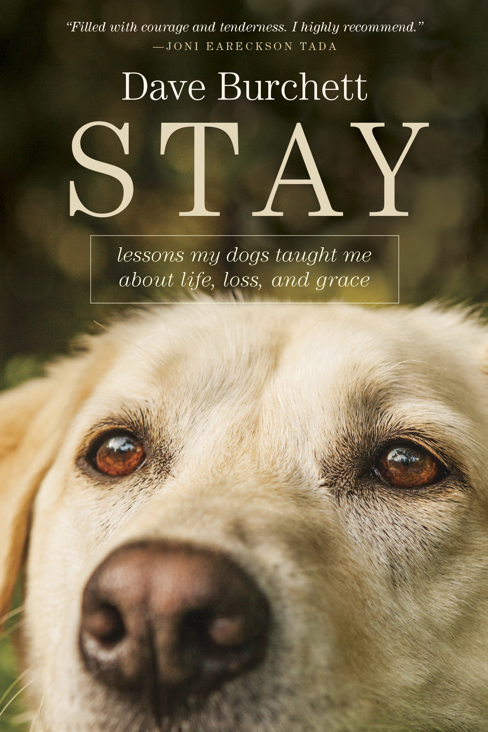 Stay By Dave Burchett (Hardback) 9781414397931