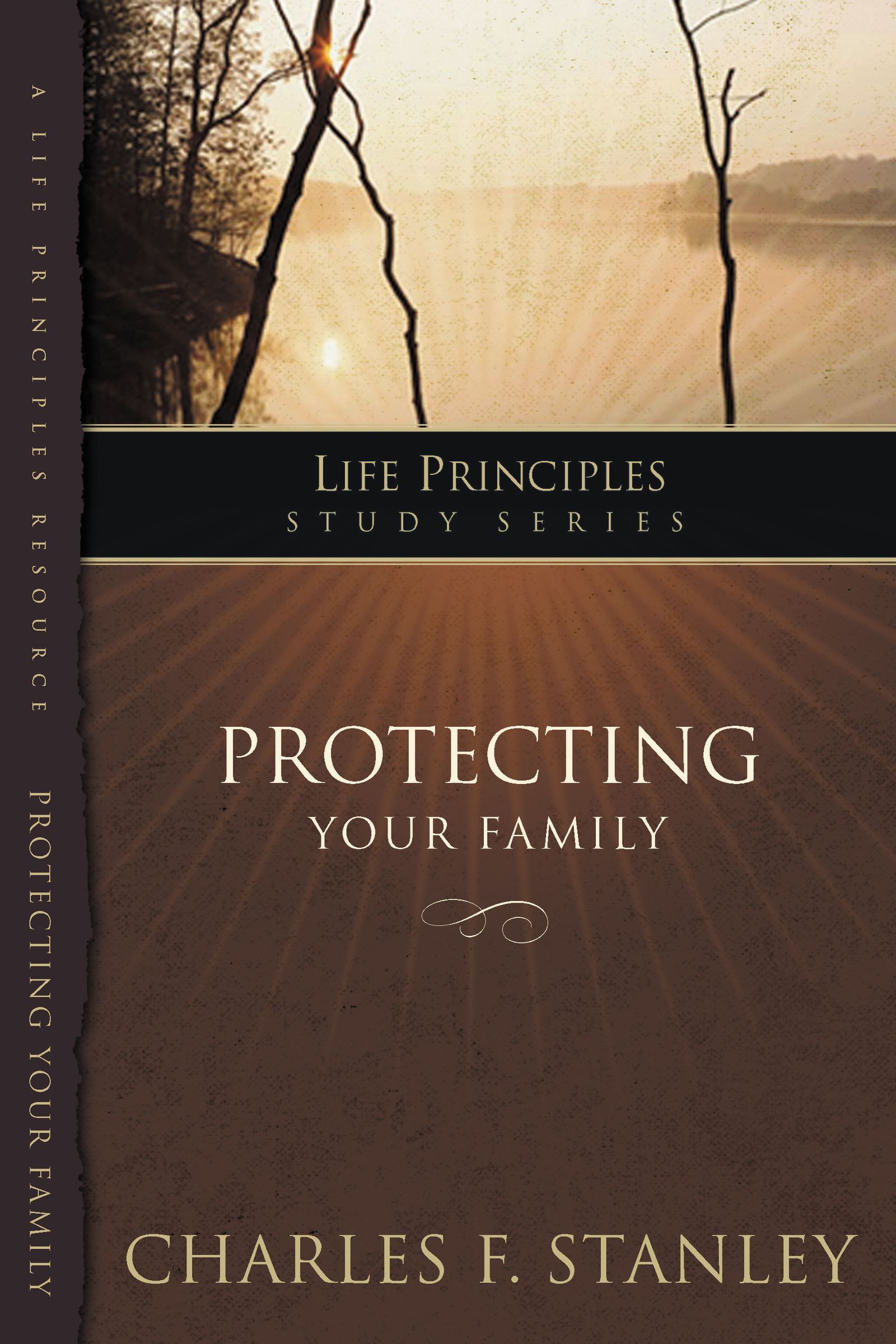 Protecting Your Family By Charles F Stanley (Paperback) 9781418528133