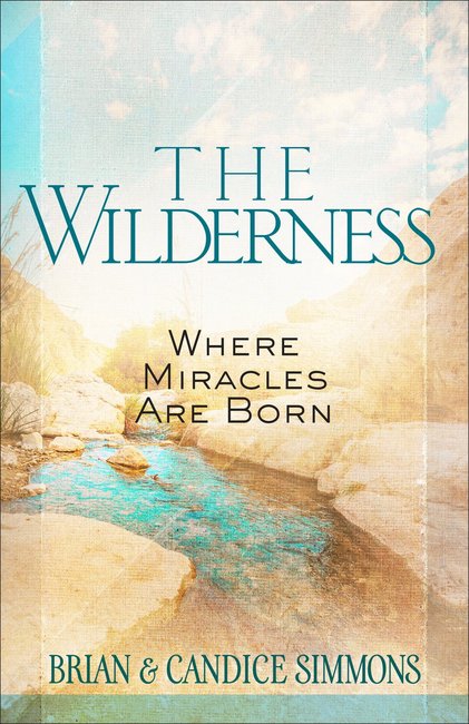 The Wilderness Where Miracles Are Born (Paperback) 9781424551798