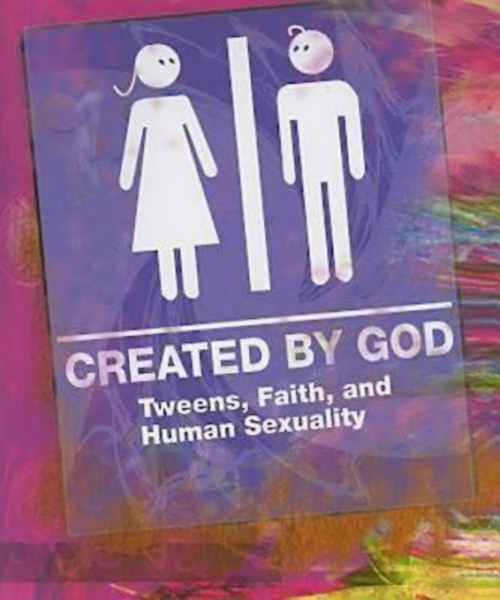 Created by God Student Book By James H Ritchie (Paperback)