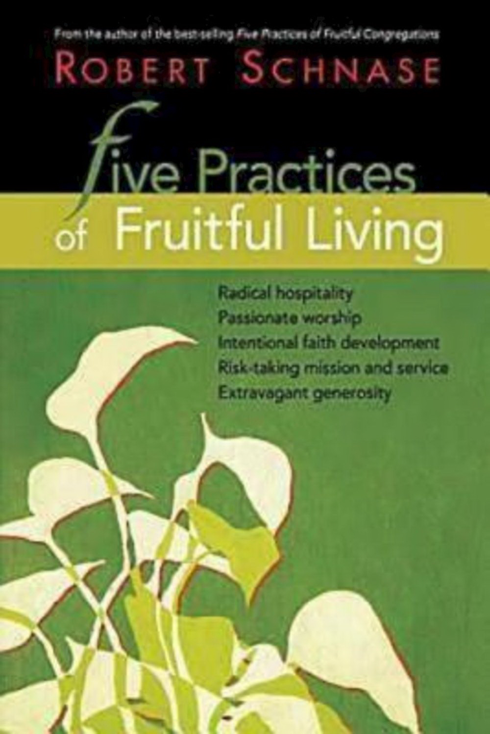 Five Practices of Fruitful Living By Robert Schnase (Paperback)