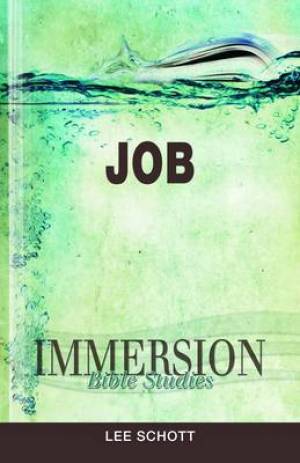 Job Immersion By Lee A Schott (Paperback) 9781426716300