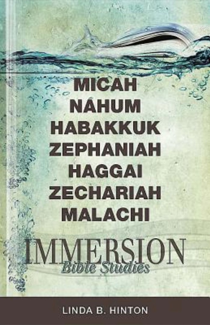 Immersion Bible Studies - Micah Nahum Habakkuk Zephaniah Haggai Z