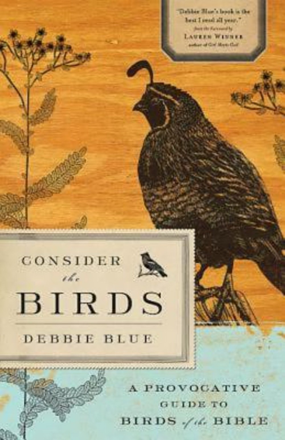 Consider The Birds By Blue Debbie (Paperback) 9781426749506