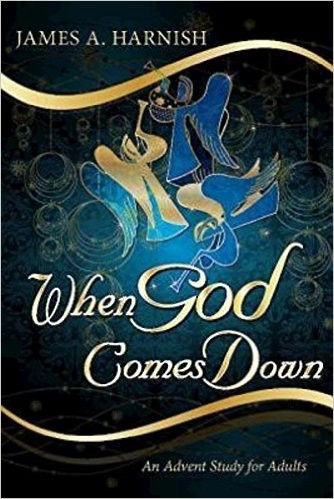 When God Comes Down By Harnish James A (Paperback) 9781426751080