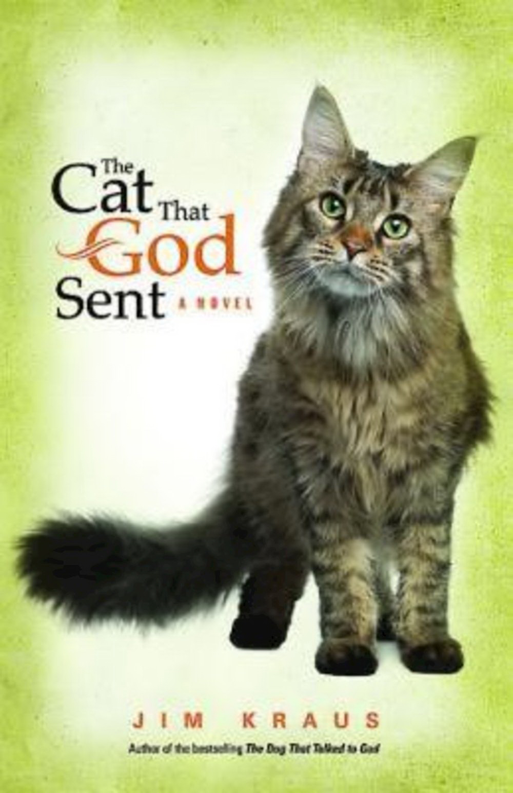 The Cat That God Sent By Jim Kraus (Paperback) 9781426765612