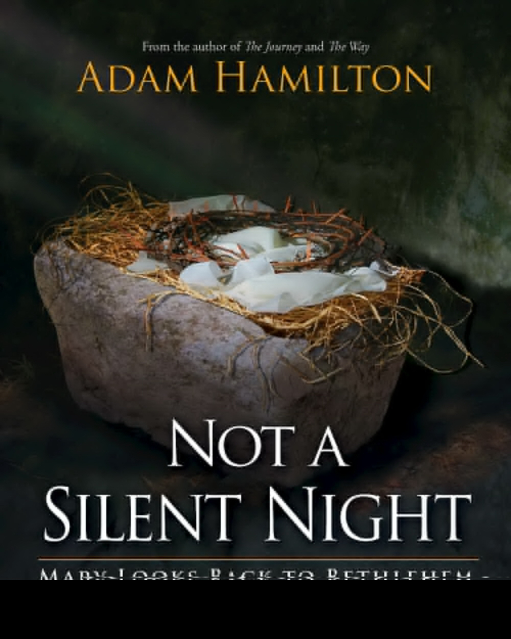 Not a Silent Night By Adam Hamilton (Hardback) 9781426771842