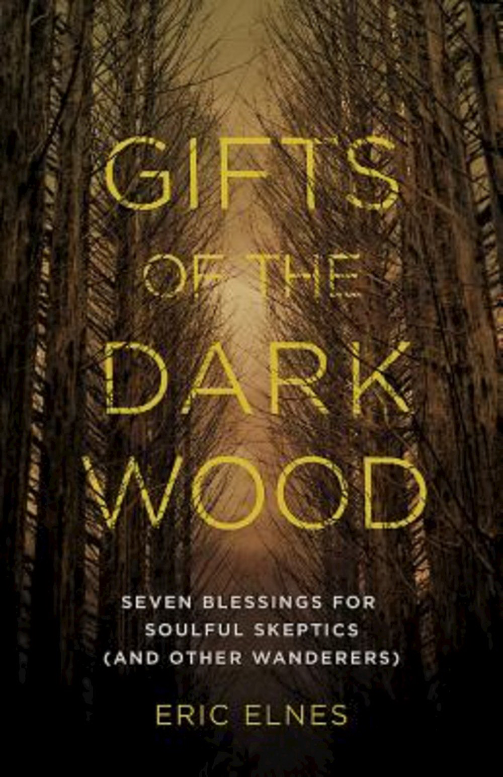 Gifts of the Dark Wood By Eric Elnes (Paperback) 9781426794131