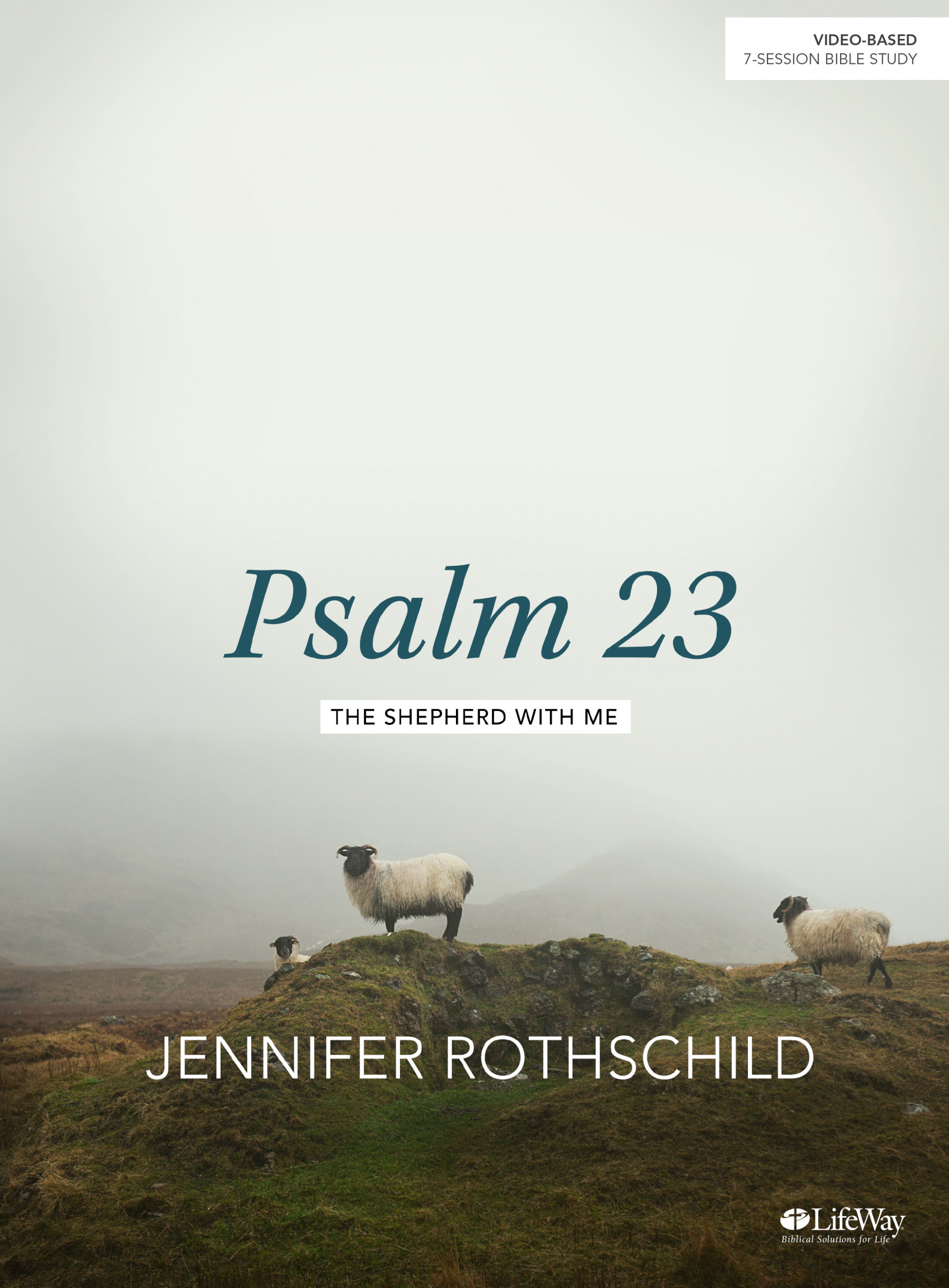 Psalm 23 Bible Study Book By Jennifer Rothschild Rothschild