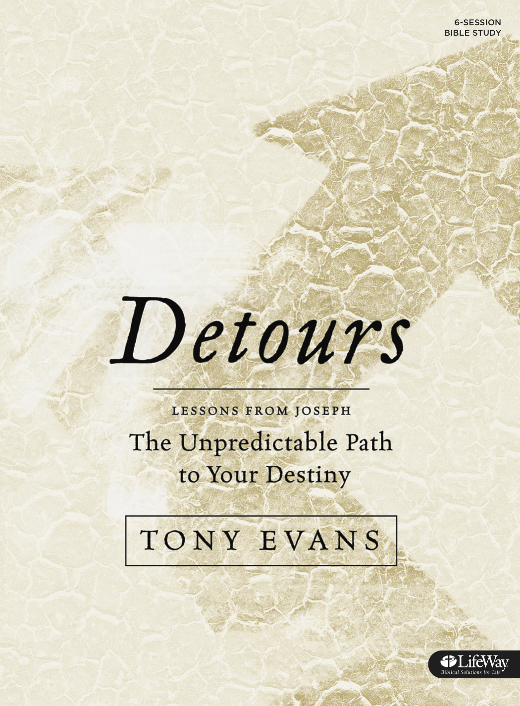 Detours - Bible Study Book By Evans Tony (Paperback) 9781430055341