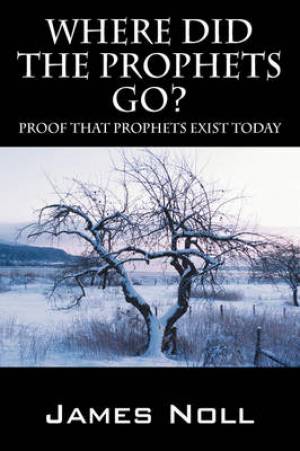 Where Did The Prophets Go (Paperback) 9781432737696