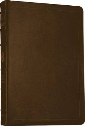 ESV Large Print Thin Reference Bible By English Standard (Leather)