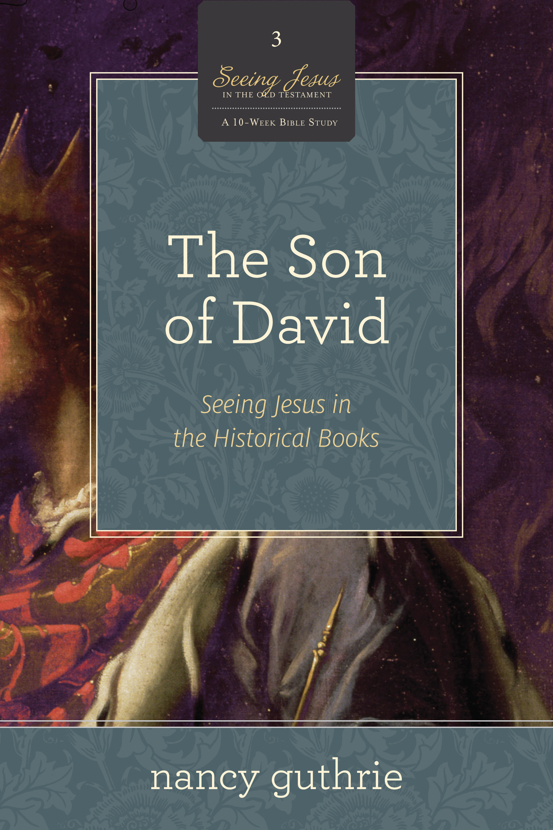 The Son of David By Nancy Guthrie (Paperback) 9781433536564