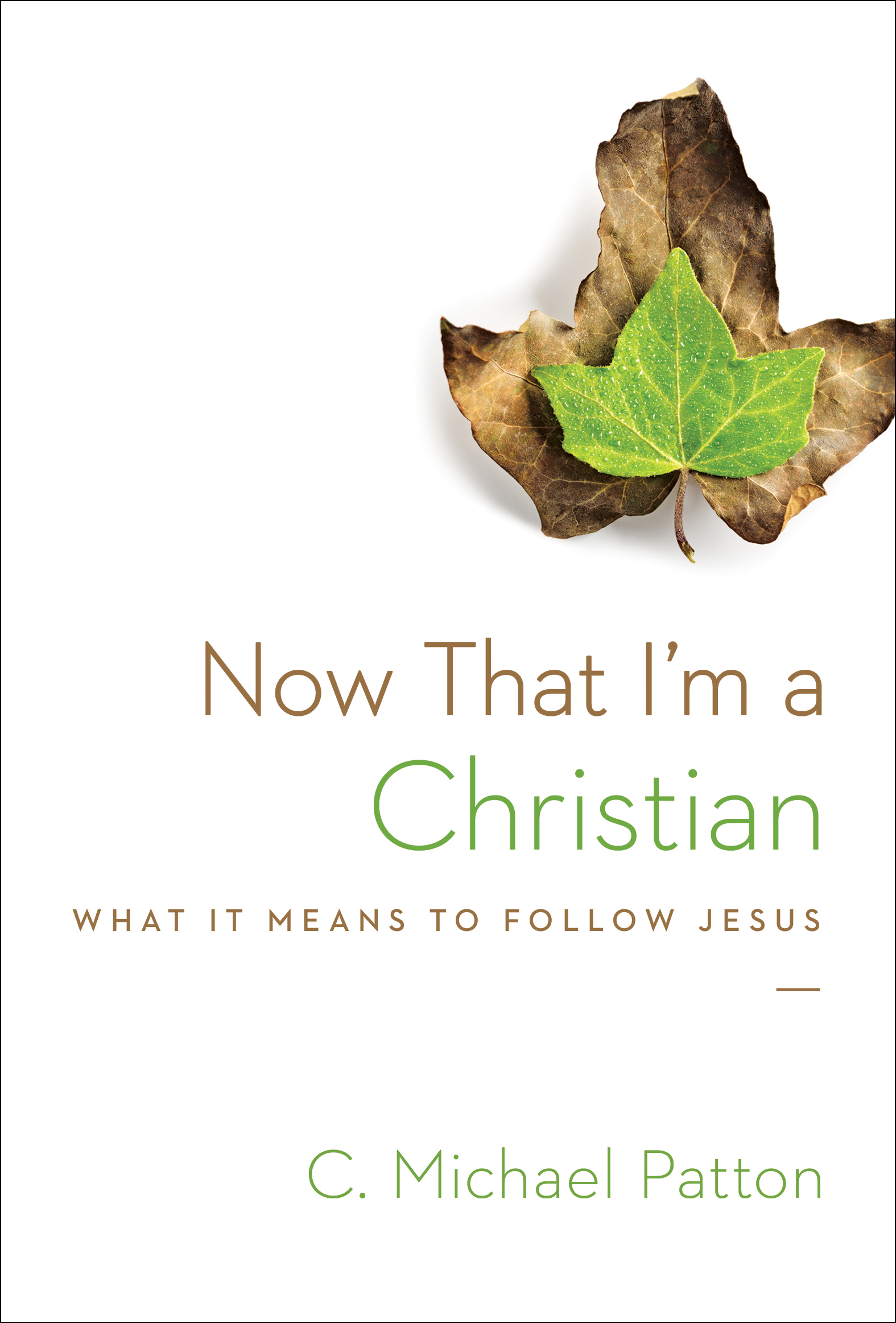 Now That Im A Christian By C Michael Patton (Paperback) 9781433538049