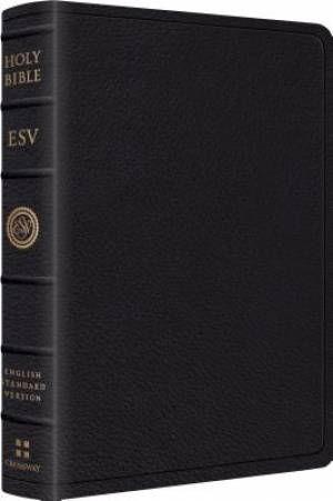 Esv Wide Margin Ref Black By English Standard (Leather) 9781433544187