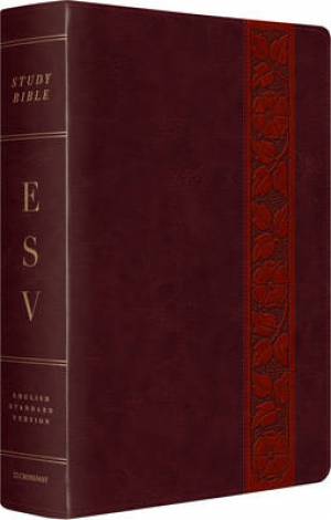 ESV Study Bible Large Print By Crossway Bibles (Imitation Leather)