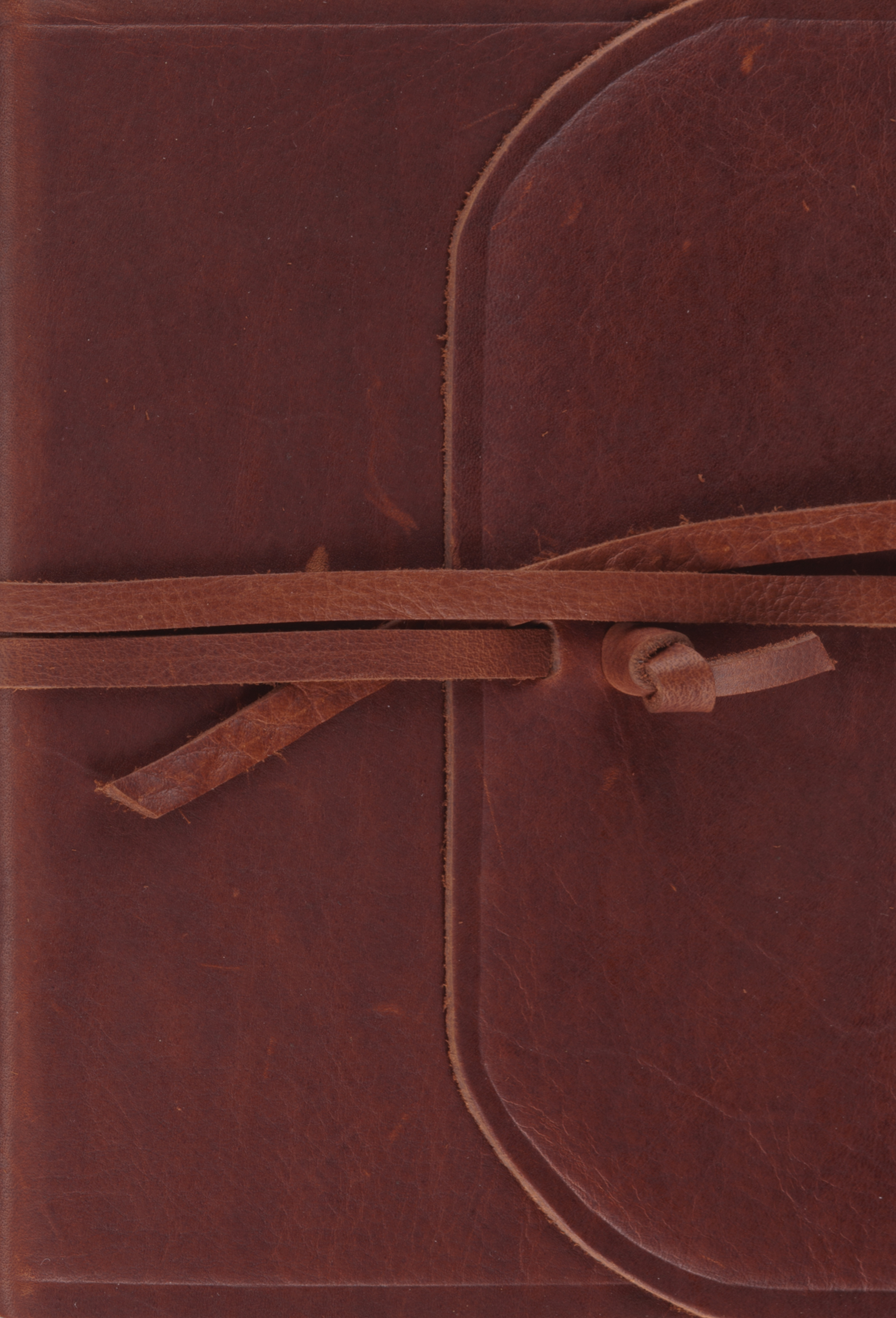 ESV Large Print Compact Bible (Leather) 9781433551598