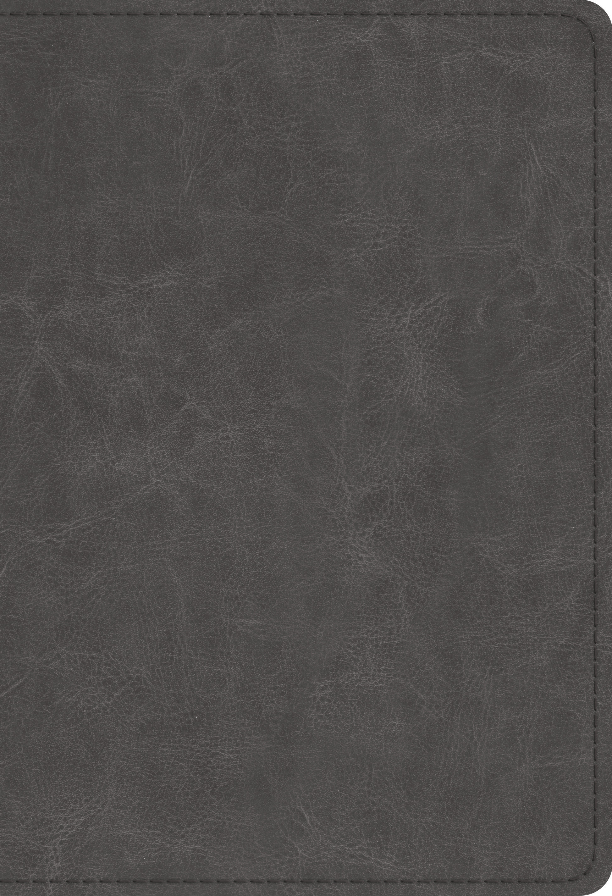 ESV Student Study Bible Imitation Leather Gray Study Notes Concord