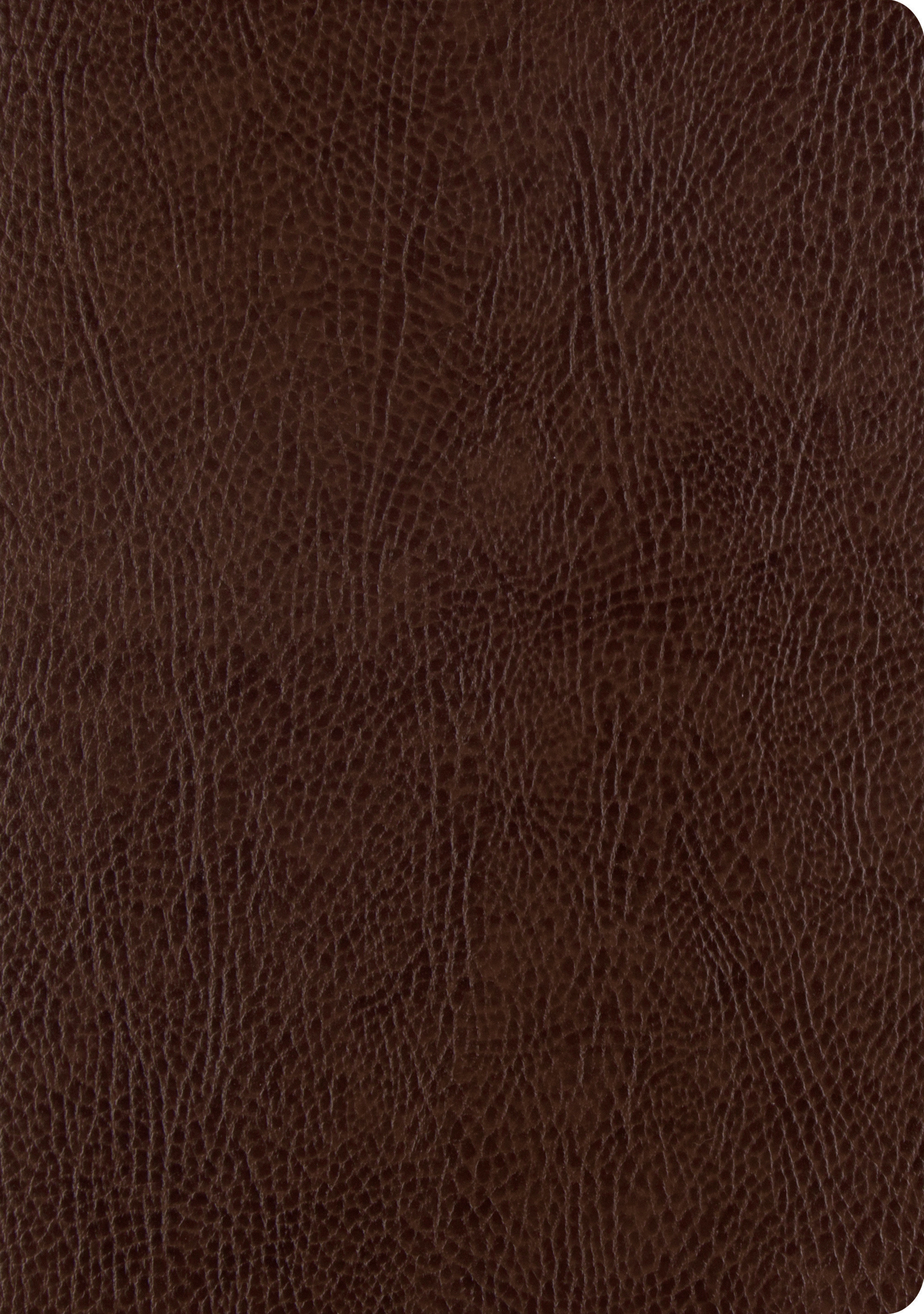 ESV Single Column Journaling Bible Large Print Bonded Leather Mocha