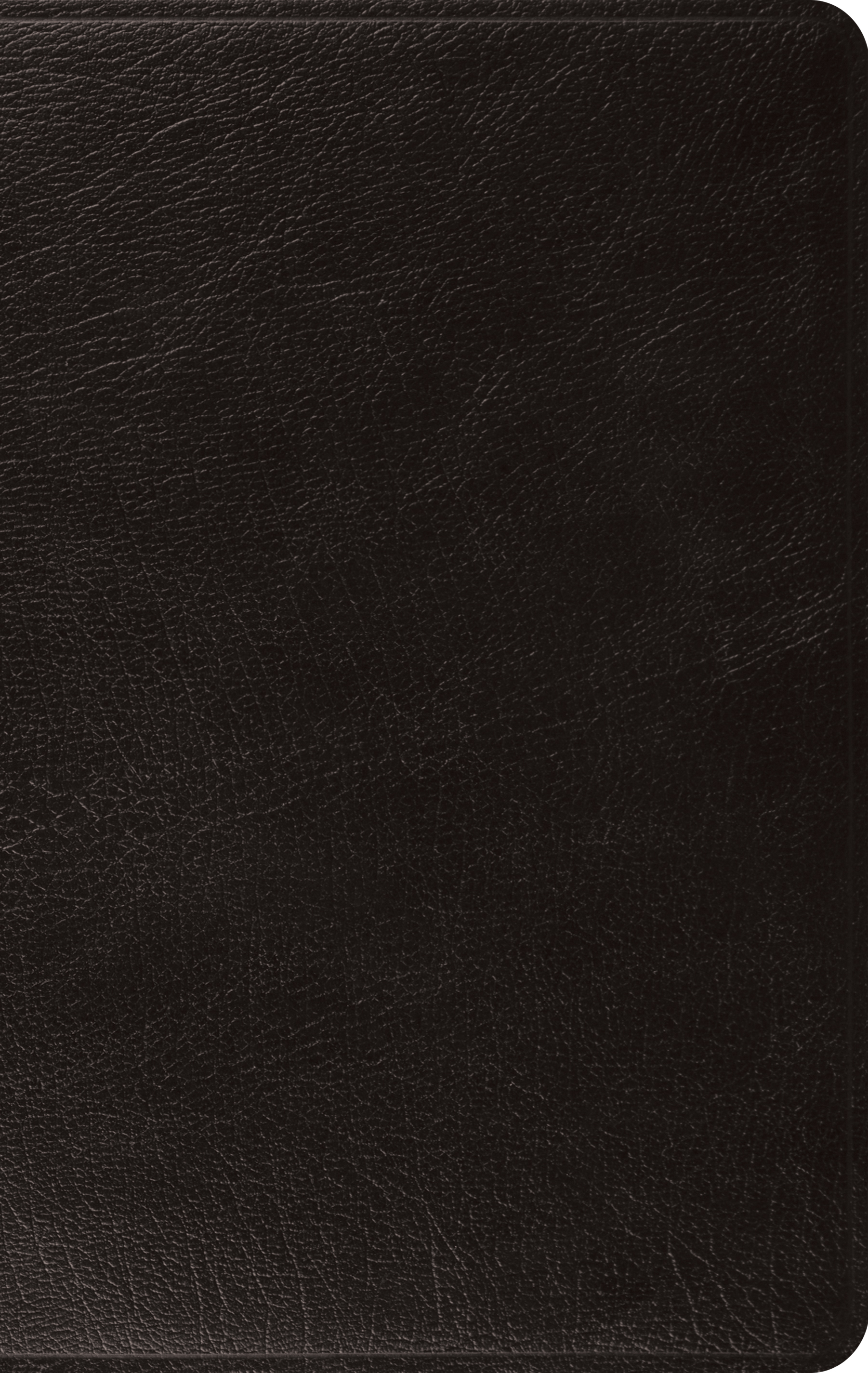 ESV Large Print Thinline Bible Genuine Leather Black (Leather)