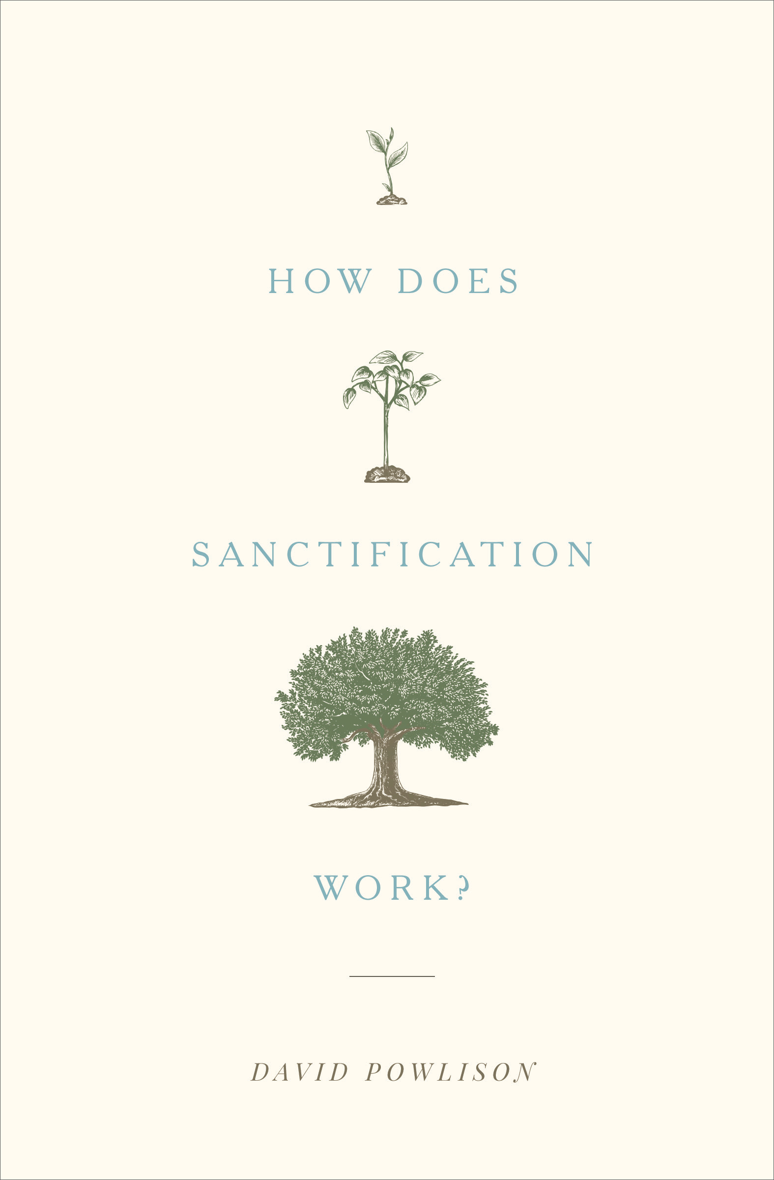 How Does Sanctification Work By Powlison David (Paperback)