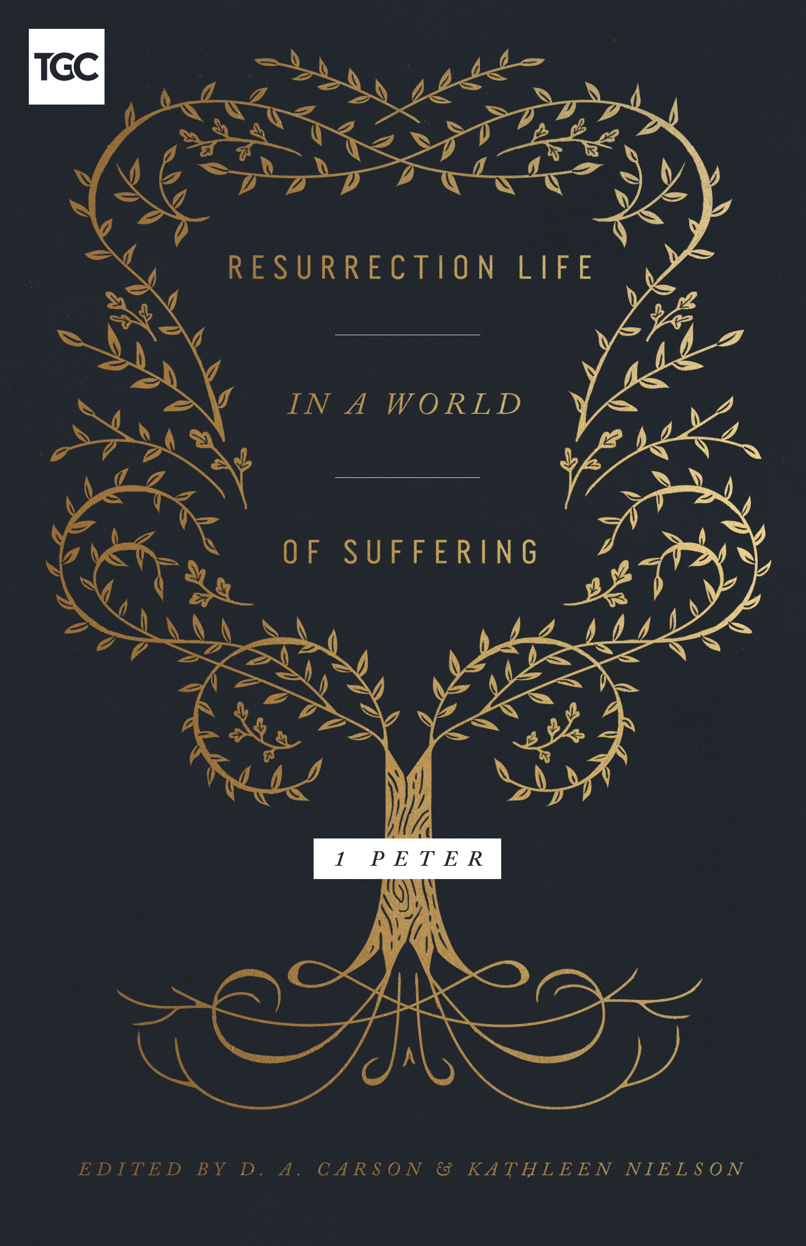 Resurrection Life in a World of Suffering By Carson D A Nielson Kathle