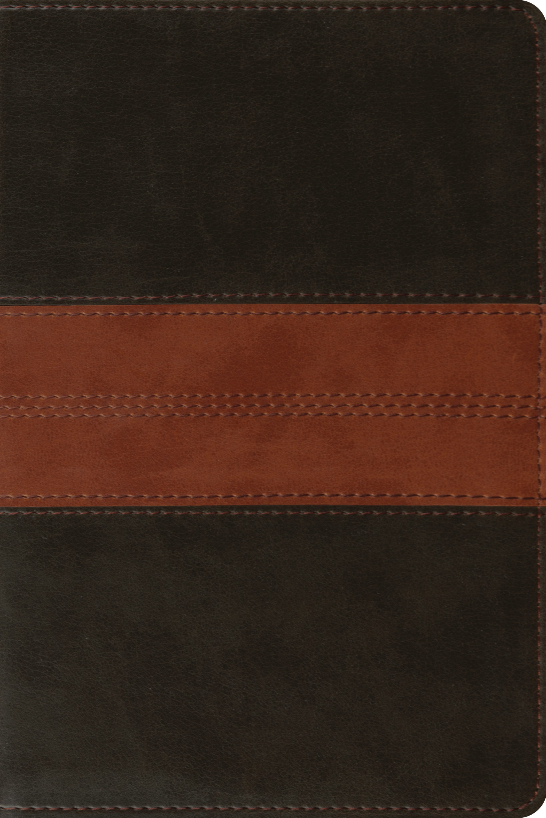 ESV Personal Reference Bible By English Standard (Imitation Leather)