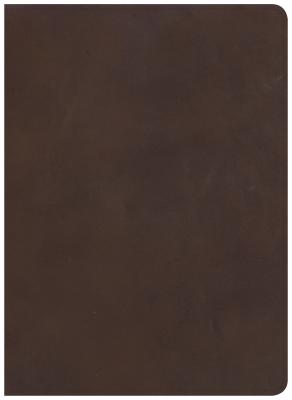 CSB Study Bible Brown Genuine Leather Indexed By Holman Bible Staff