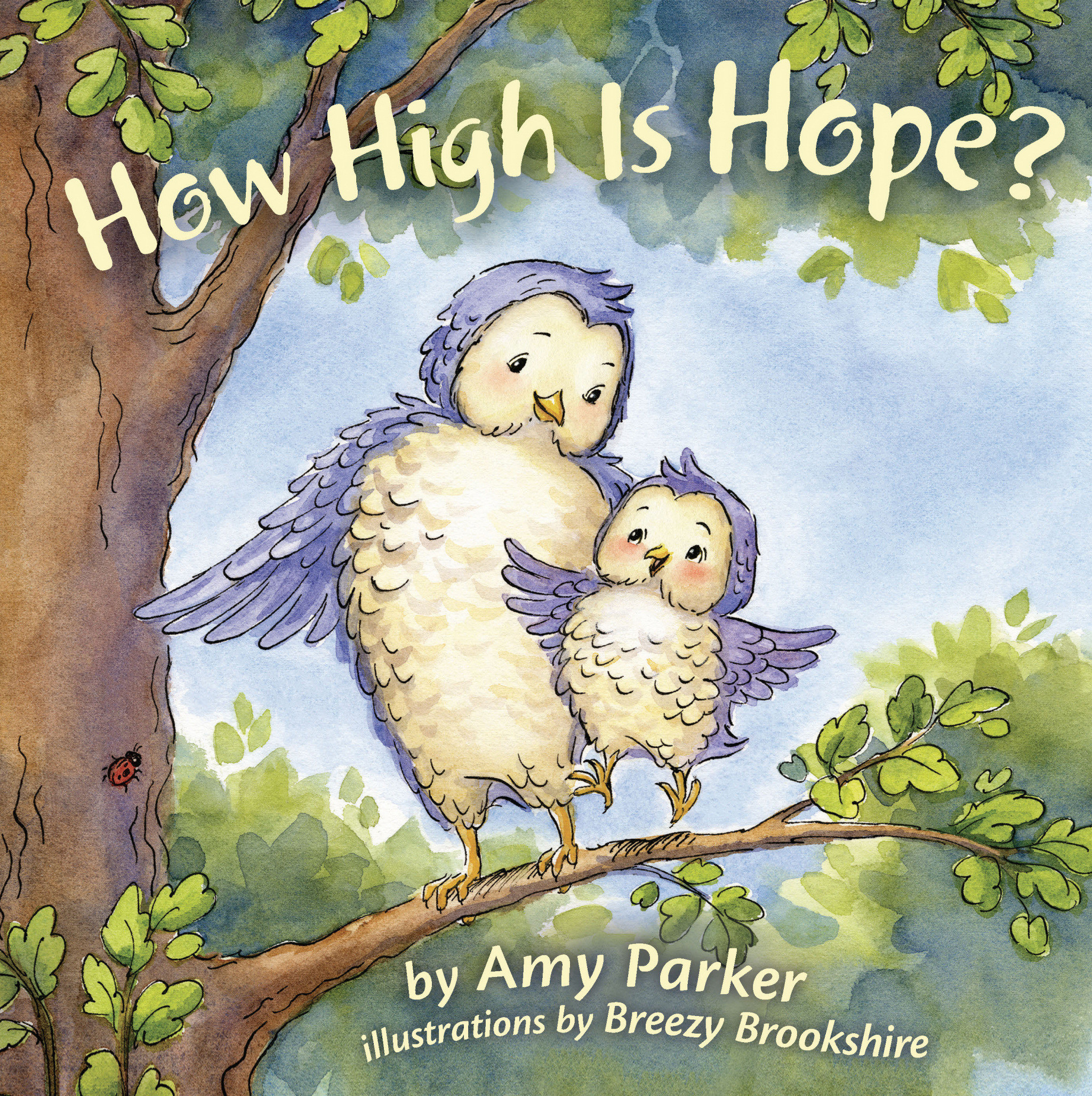 How High Is Hope Padded Board Book By Parker Amy (Board book)