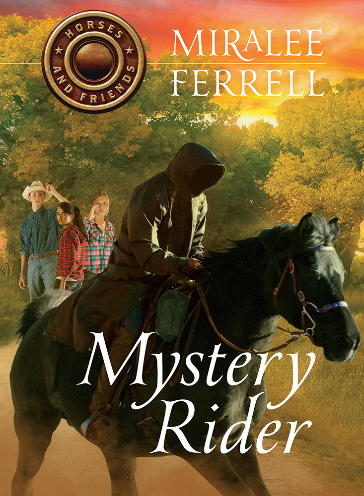 Mystery Rider By Miralee Ferrell (Paperback) 9781434707376