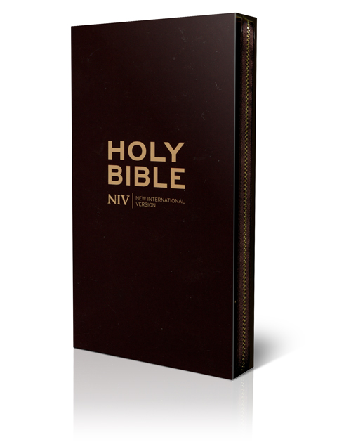 NIV Diary Bible: Brown, Leather Bonded by New International Version