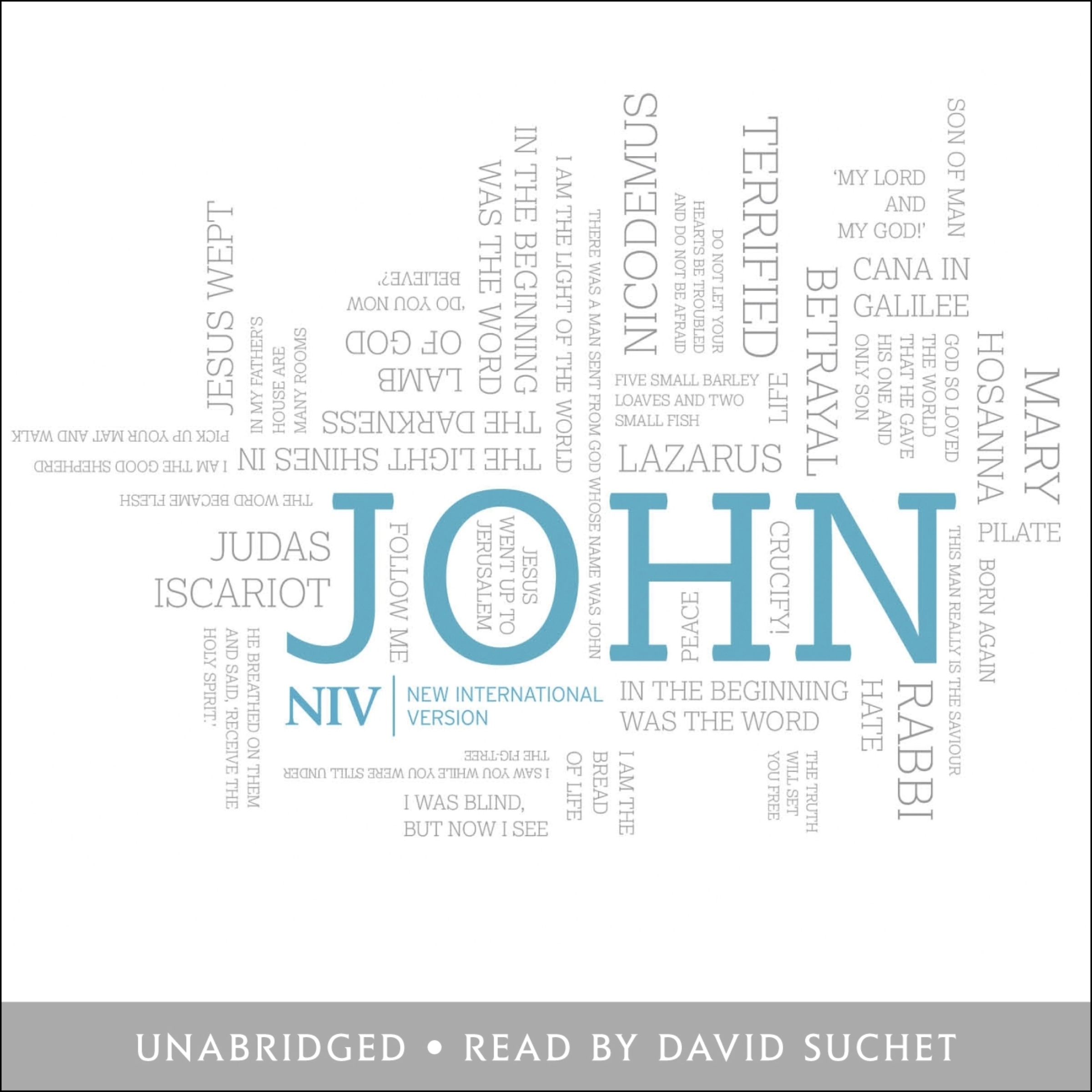 NIV Bible: Gospel of John