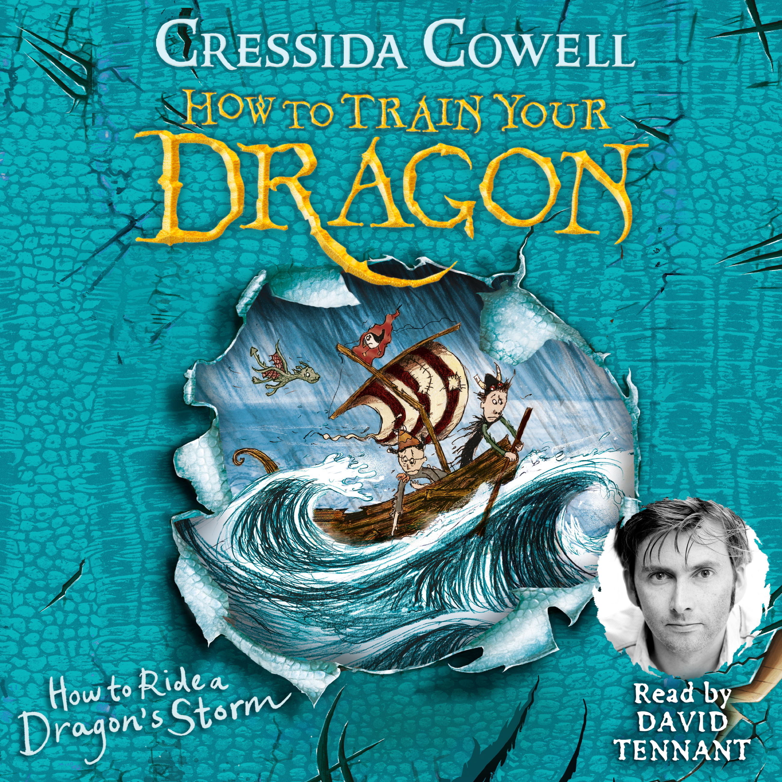 How to Train Your Dragon: How to Ride a Dragon's Storm