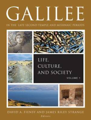 Galilee in the Late Second Temple and Mishnaic Periods (Paperback)