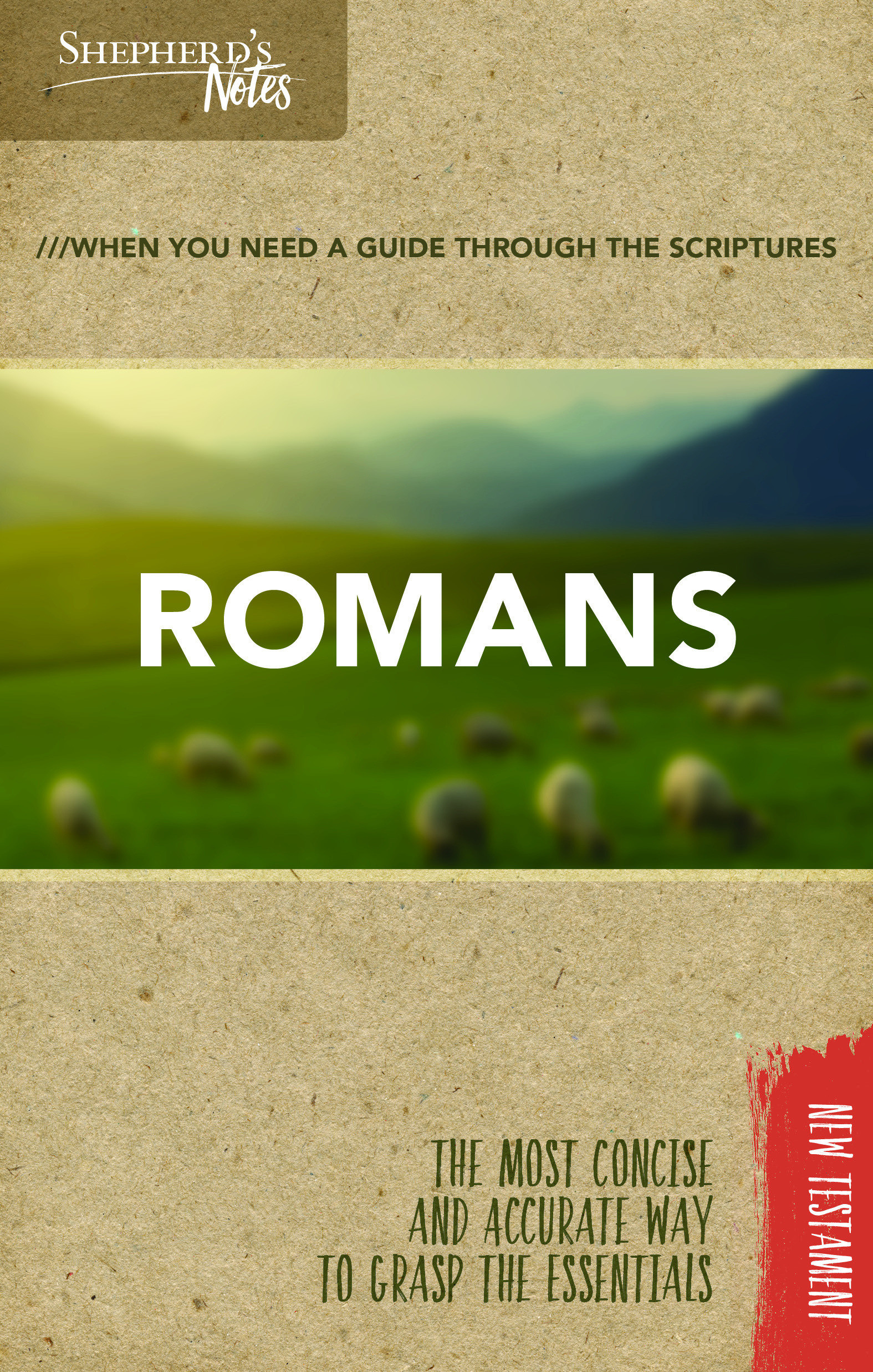 Shepherd's Notes Romans By Gould Dana (Paperback) 9781462749676