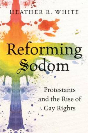 Reforming Sodom By Heather R White (Paperback) 9781469624112