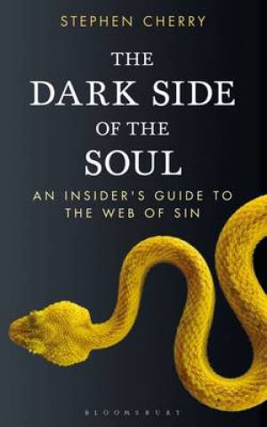 The Dark Side of the Soul By Stephen Cherry (Paperback) 9781472900814