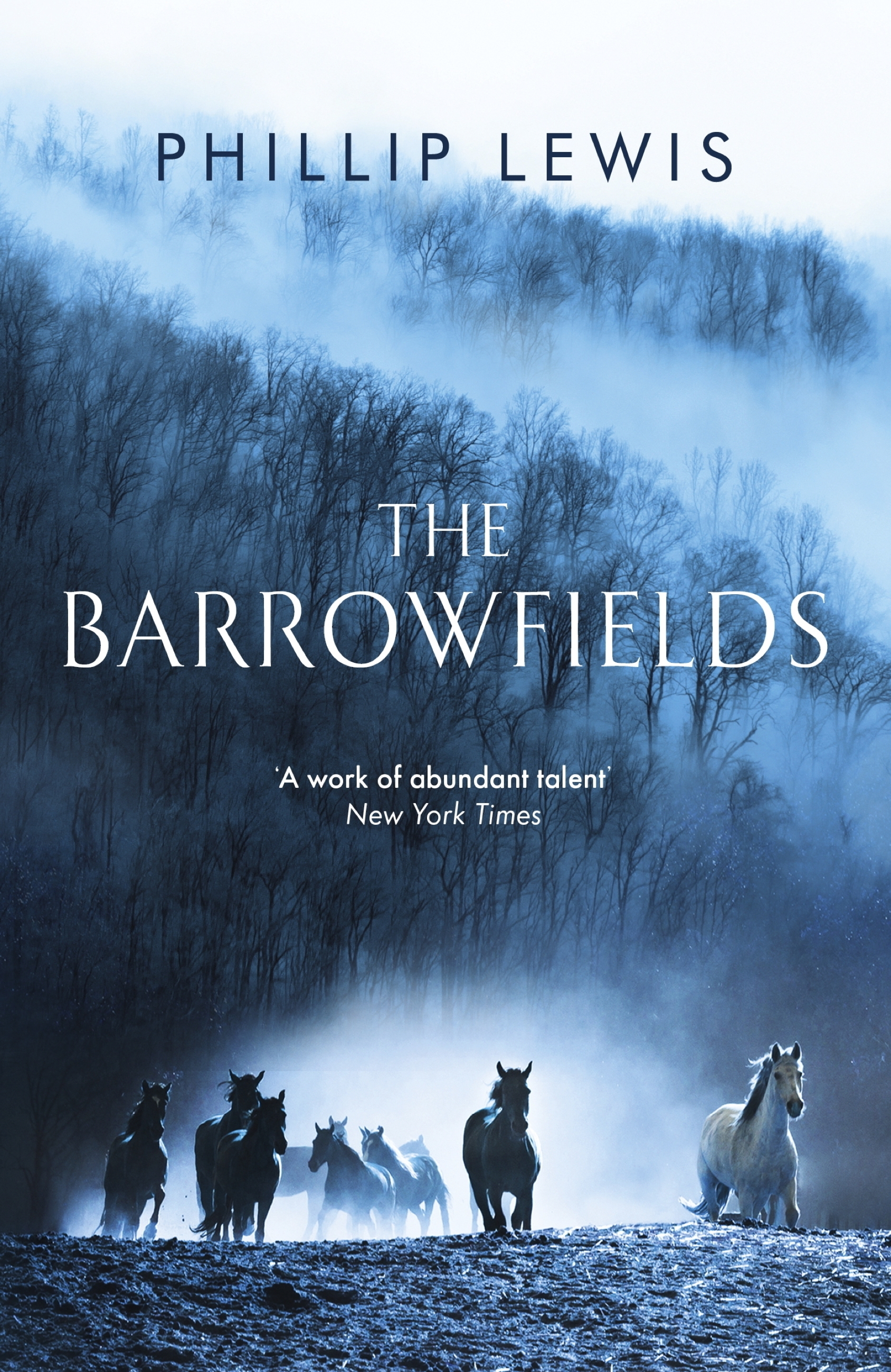 The Barrowfields