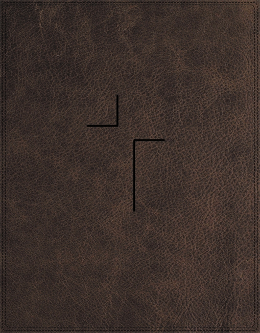 Louie Giglio NIV Jesus Bible Brown Imitation Leather 300 Articles