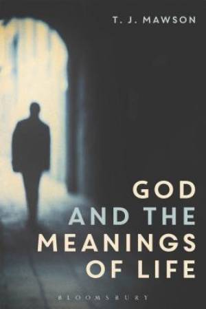 God and the Meanings of Life By T J Mawson (Hardback) 9781474212557